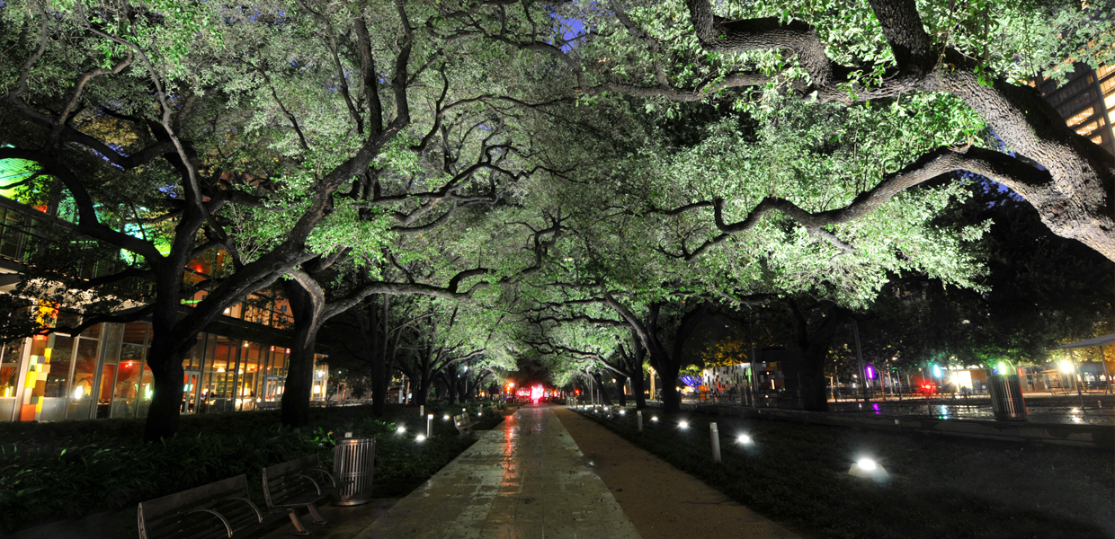 discovery green discovery green
